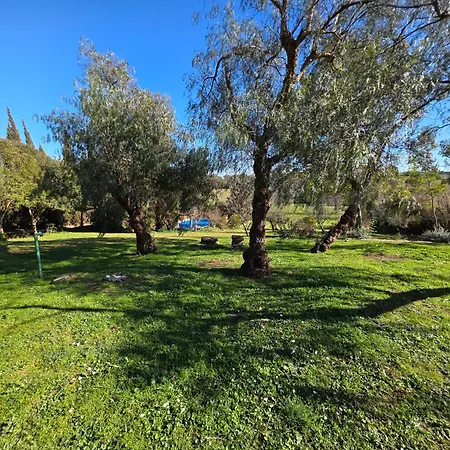Holiday home En El Emporda Cruilles