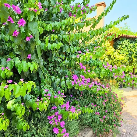En El Emporda Cruïlles